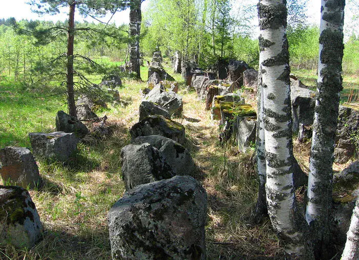 Ольховая Глушь (Леппясюрья)